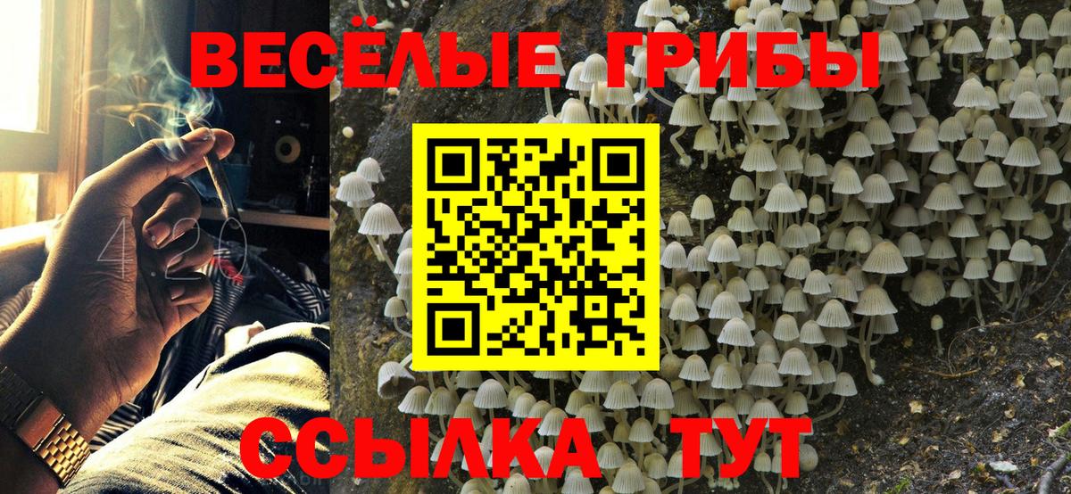 Псилоцибиновые грибы мухоморы  Вход с VPN  Галлюциногенные грибы Psilocybine cubensis  Ефремов 